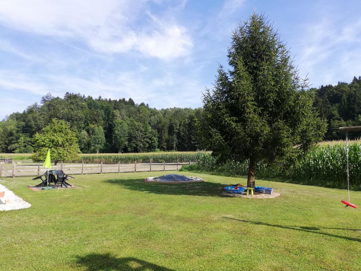 Ferienhaus Am Bach Kirchberg an der Raab ภายนอก รูปภาพ