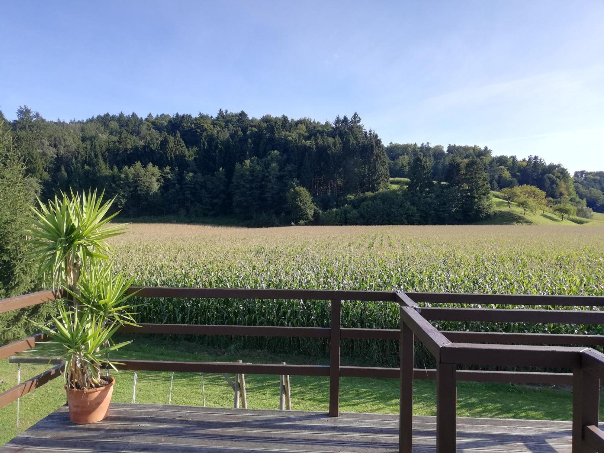Ferienhaus Am Bach Kirchberg an der Raab ภายนอก รูปภาพ